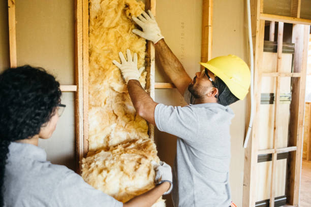 Best Insulation for Existing Homes  in Somerset, KY